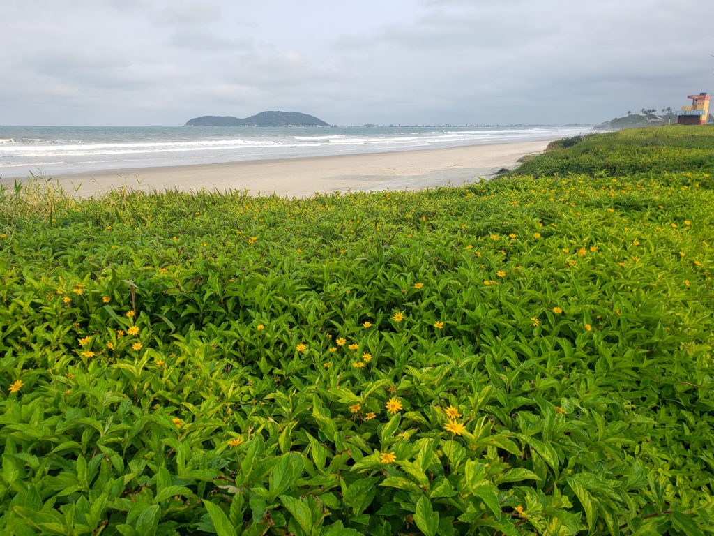 Praia de Itaguaçú
